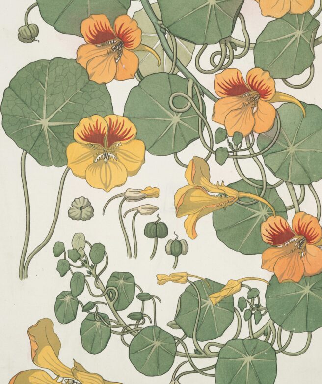 the-new-york-public-library-M2EmTRvqfgg-unsplash